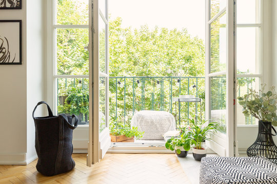 Lot of green plants and open balcony door in modern apartment, real photo