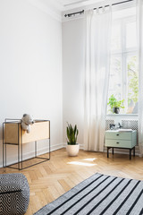 Pouf and striped carpet in bright living room interior with plants and cabinet under window. Real photo