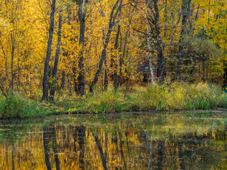 Autumn shore on the lake