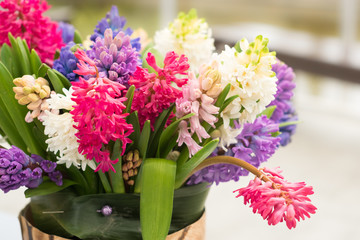 pretty hyacinth flowers composition, cheerful spring bouquet made by florist