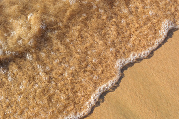 Sea water wave on sand. Abstract natural background.