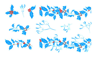 Composition of Christmas plants, mistletoe and Holly