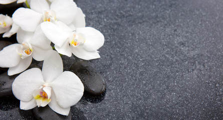Still life with spa stones and white orchid.