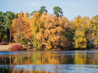 Autumn coast