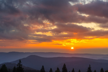 Germany, Black forest sunrise over tree tops and foggy hill landscape in autumn