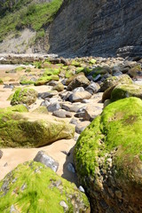 Bemooste Felsen am Strand