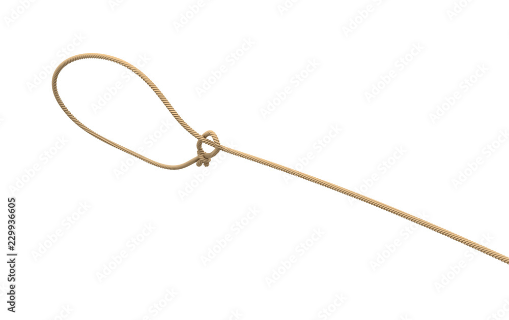 Poster 3d rendering of a rope tied in a lasso and flying on a white background.