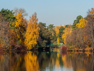 Autumn by the lake