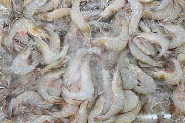 Seafood on ice at the fish market