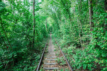 Obraz premium a railway in the spring forest tunnel of love