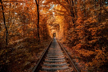 Fototapeten Liebestunnel im Herbst © Ruslan Ivantsov
