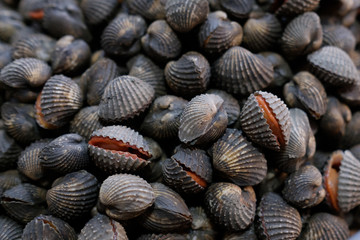 Seafood on ice at the fish market