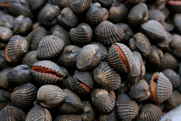 Seafood on ice at the fish market