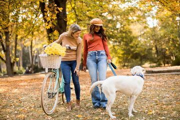 Fototapeta premium Two female friends walking in the autumn park with dog and bicycle