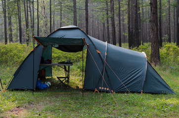 Camping Tent in summer forest in Siberia