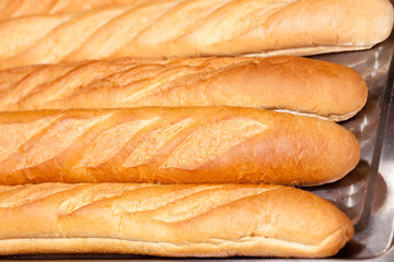 baguette - delicious crispy loaf