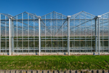 View on industrial glass greenhouses in the Netehrlands.