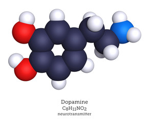 Dopamine neurotransmitter shown as a molecular model