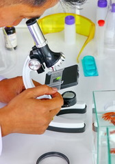 the researcher with microscope is looking sample test