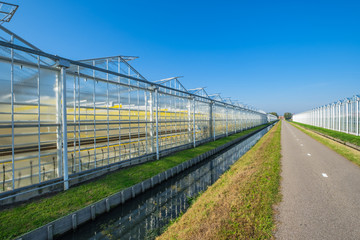 Fototapeta na wymiar Perspective view of industrial glass greenhouses in the Netehrlands.