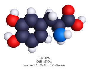 Molecular model of L-DOPA medication for Parkinson's disease