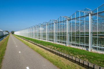 Fototapeta na wymiar Perspective view of industrial glass greenhouses in the Netehrlands.