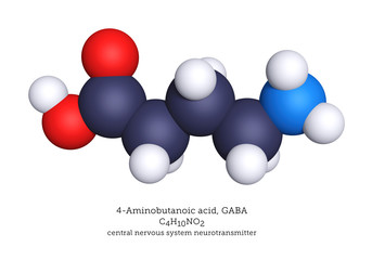 Molecular model of the neurotransmitter GABA