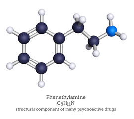 Phenethylamine shown as a ball-and-stick molecular model