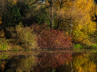 Autumn coast