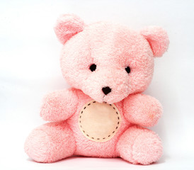 Teddy bear has a lovely pink.  bear has a circle for text input.