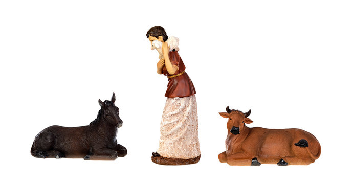 A sheeper offering his sheep in the manger with the ox and the mule