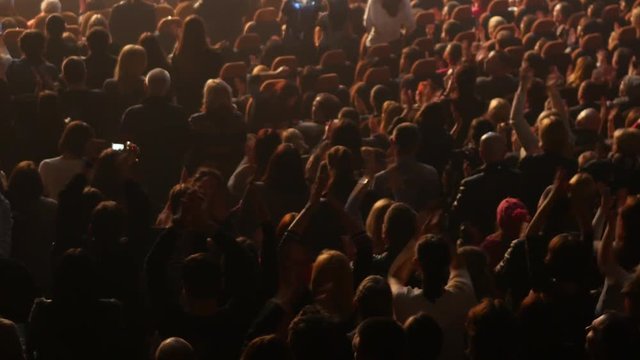 The audience at a concert cheering and applauding to the singer 