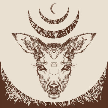 Stag Deer Head Sketch Vector Graphics Monochrome Drawing