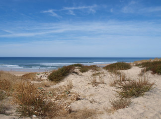 Biscarrosse plage. Point de vue des dunes sur l'immense plage et l'océan atlantique