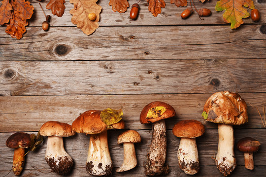 Autumn still life. Composition with mushrooms and leaves on a wooden background.