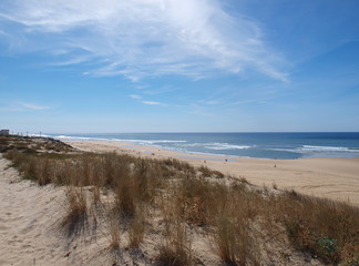 Fototapeta na wymiar Biscarrosse plage. Point de vue des dunes sur l'immense plage et l'océan atlantique