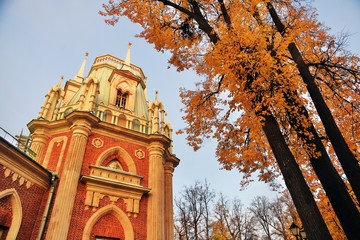 Fototapeta na wymiar Autumn view of Tsaritsyno park in Moscow. Popular landmark.