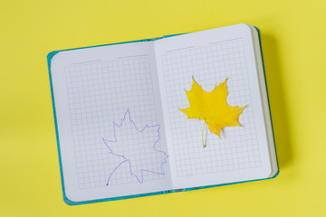 Blank open notebook with maple leaf  and drawing  on yellow background. Empty diary and autumn concept