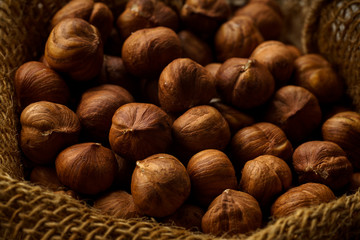 Close up image of a handful of raw hazelnuts in textile bag. Baking ingredient concept