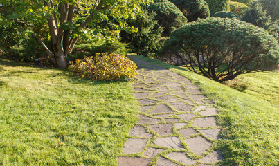 Cottage garden with green lawn, trees and trimmed bushes.