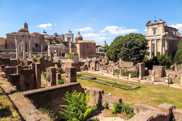 Fototapeta na wymiar Overview of Forum Romanum, Rome, Italy.