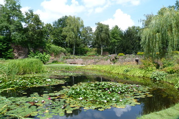 Teich, Seerosen und Felsen im Höhenpark Killesberg