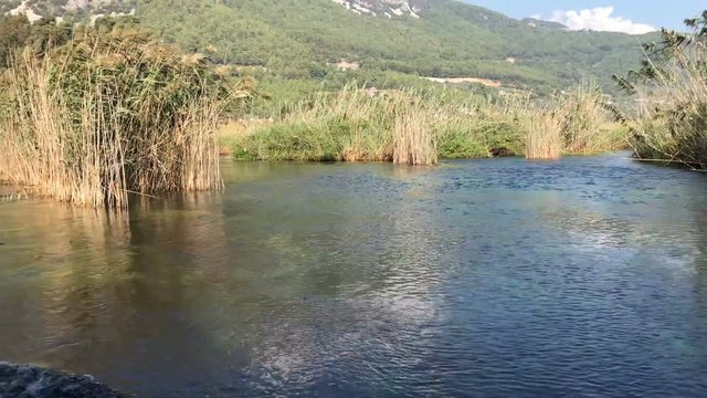 lake in the forest