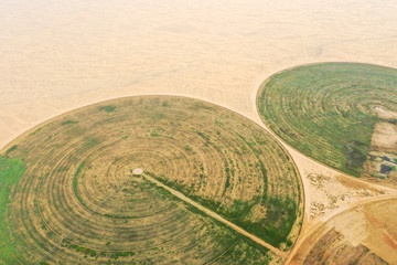 Fototapeta na wymiar Circular green irrigation patches for agriculture in the desert. Dubai, UAE.