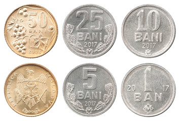 Coin Moldavian bani