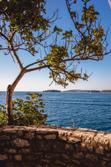 The beauty of Croatia - Rovinj