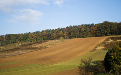 Fototapeta na wymiar rural landscape with bare fields
