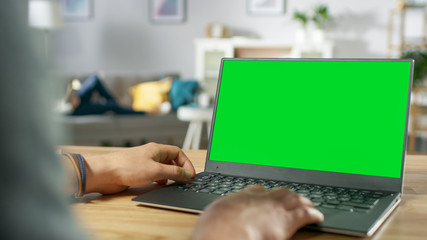 Over the Shoulder Shot of Mans Hands Using Laptop with Green Mock-up Screen. In the Background Cozy Living Room with Woman Relaxing on a Sofa.