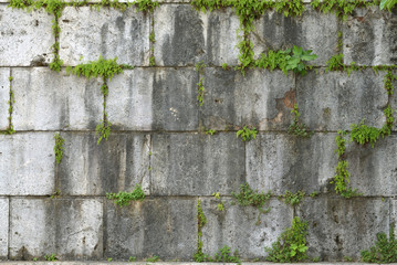 Old Stone Wall Grown With Grass