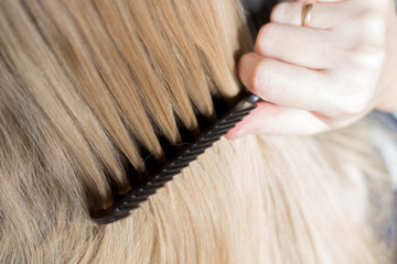 blonde girl is combing her hair